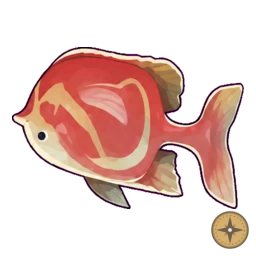 Skitshi