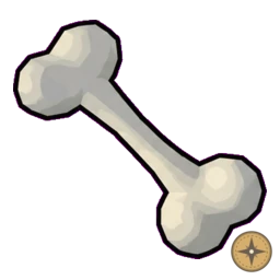 Bone