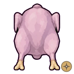 Raw Whole Chicken