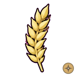 Wheat