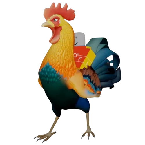 Rooster